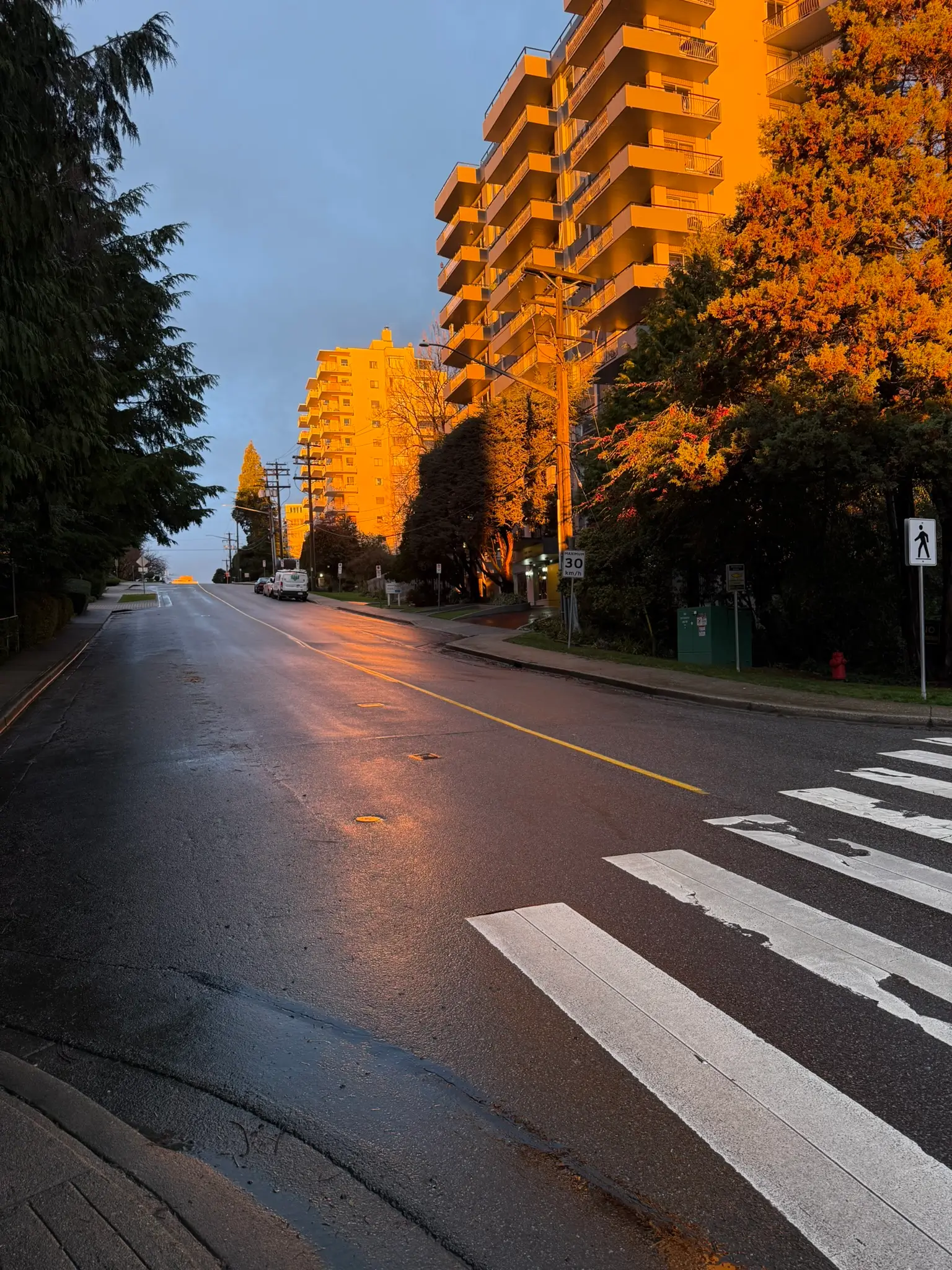 Wet Bellevue Avenue in West Vancouver at Sunrise