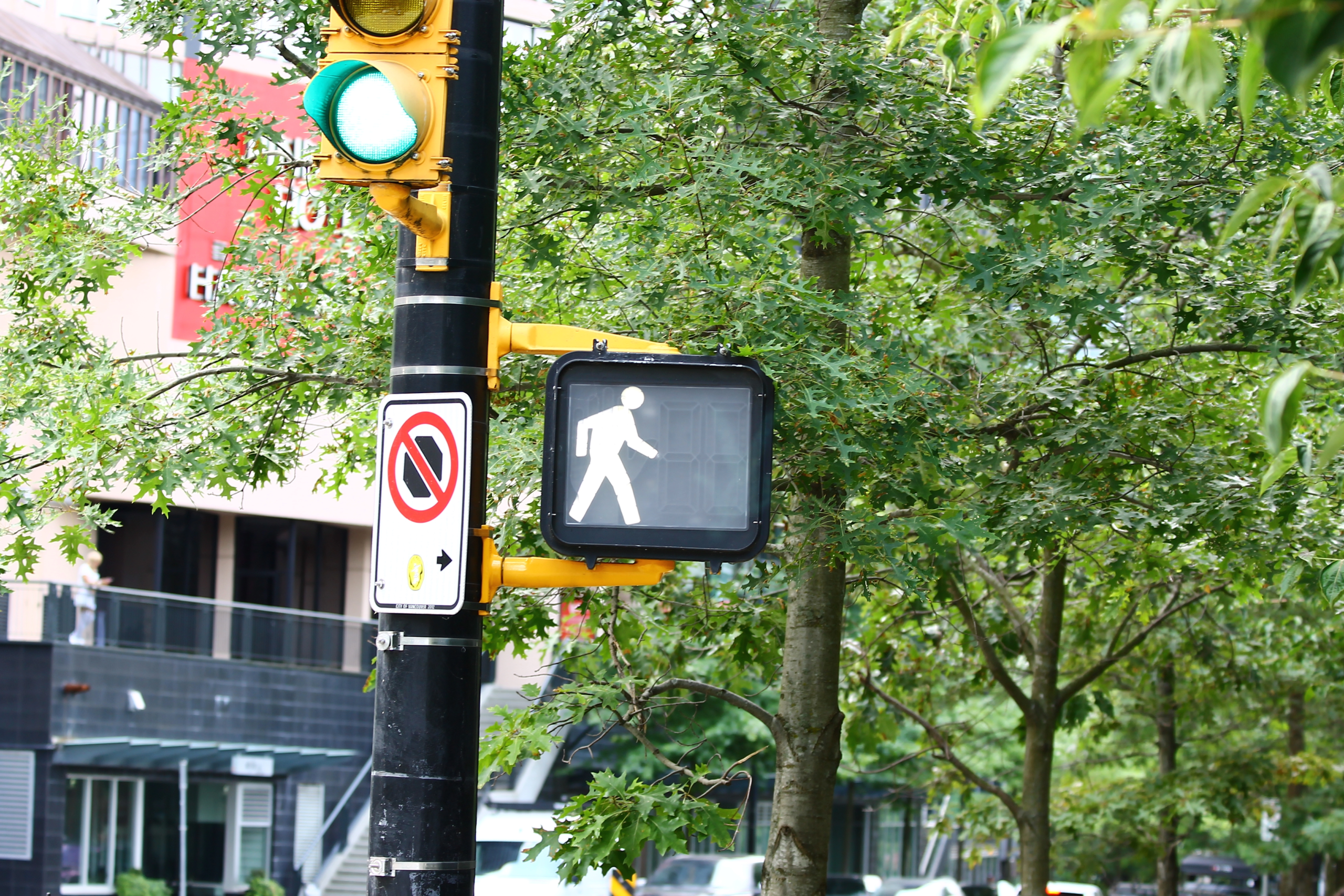 Walk Don't Walk Pedestrian Signal